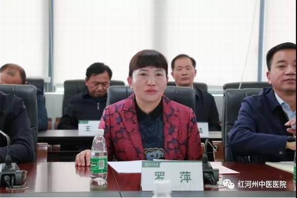 红河州委副书记、州长罗萍率队赴广州市开展医疗卫生合作对接交流(图4)